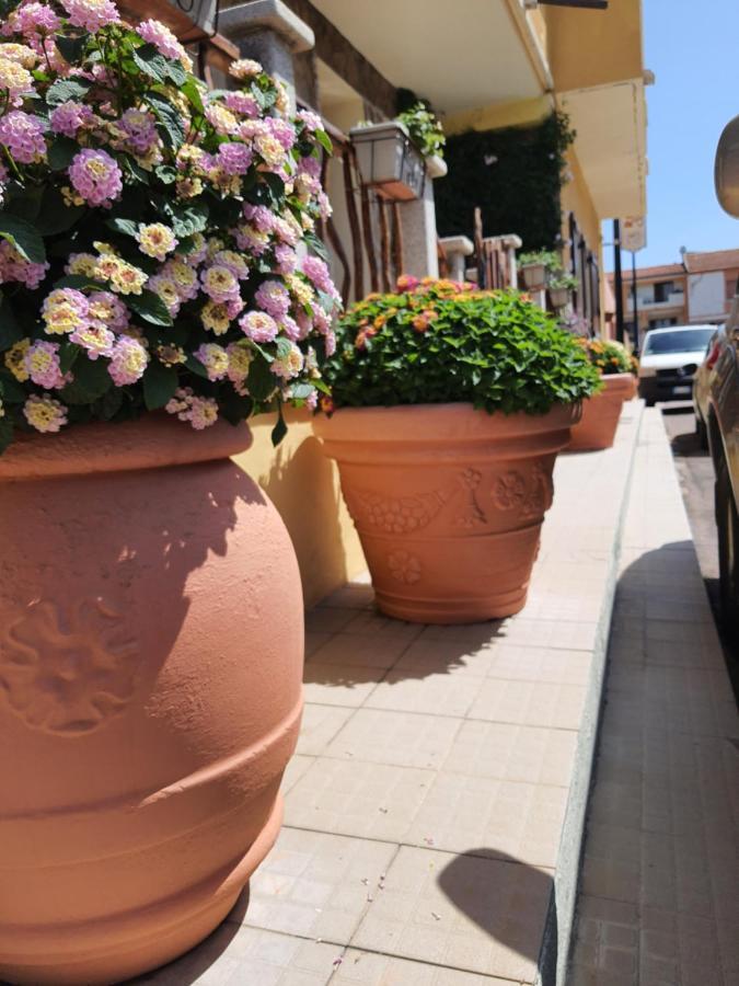 Al Pez Exclusive Rooms Olbia Dış mekan fotoğraf